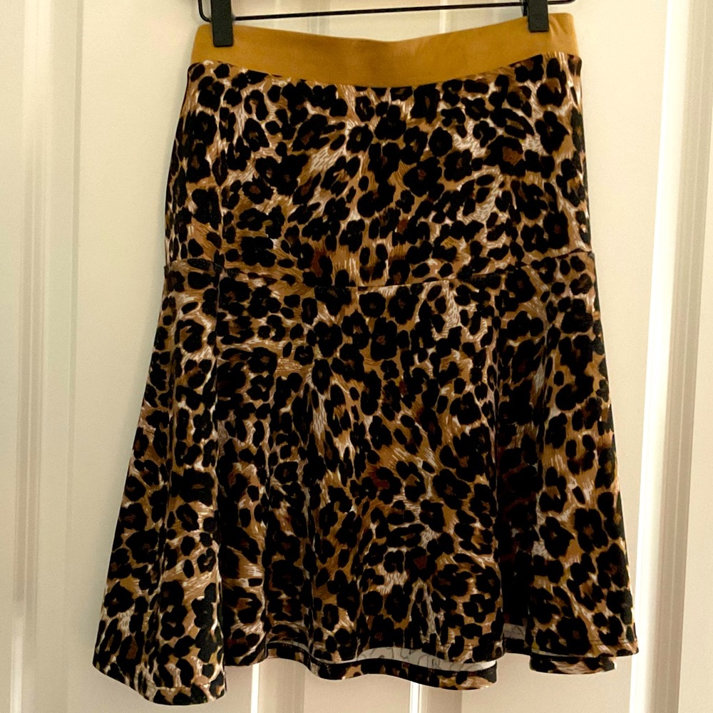 Melissa Paige skirt